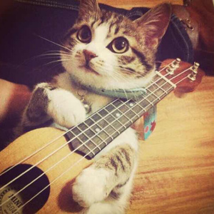 国产做受❌❌❌14
