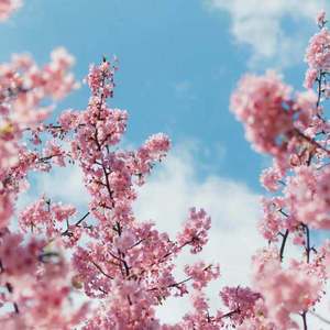 国产做受❌❌❌14
